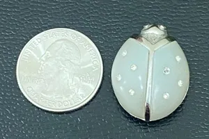 Vintage 70’s AVON Frosted Lucite Silvertone Ladybug Small Brooch 7.5g thumbnail 7