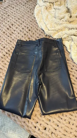 Aritzia Melina Pants thumbnail 3