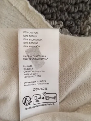 We The Free Texas Blubonet Graphic Tee Ivory Cotton Oversized Collegiate Relaxed thumbnail 9