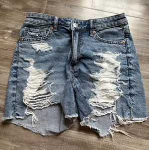 American Eagle Shorts thumbnail 1