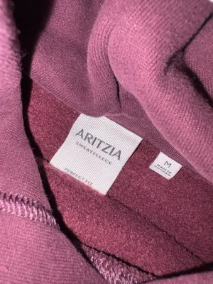 Aritzia Hoodie thumbnail 5
