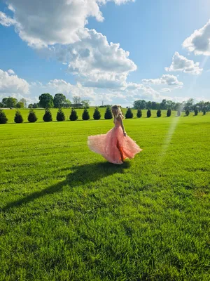 Prom Dress Windsor Pink Long thumbnail 2