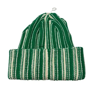 Free People Green and White Striped Beanie thumbnail 1