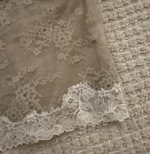 Aerie Sheer Lace Beige Tank Top thumbnail 5