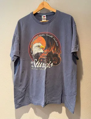 Vintage 2006 Sturgis Motorcycle Rally Eagle T-Shirt Black Hills South Dakota Siz thumbnail 1