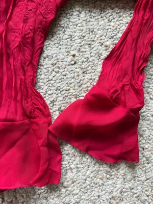 Vintage Red Ruffle Sheer Long Sleeve Top thumbnail 3