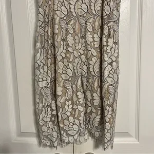 Delicate Darling Beige and Ivory Lace Bodycon Dress thumbnail 6