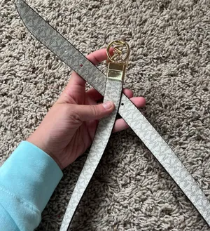 Reversible Belt thumbnail 1