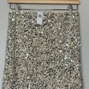 NWT Old Navy Champagne Silver Sequin A-line Lined Maxi Skirt Size Medium thumbnail 6