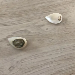 Vintage Shell Necklace + Clip On Earrings Set thumbnail 4