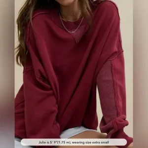 Aerie Big Chill Crew Sweatshirt thumbnail 2