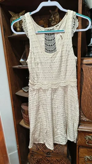 Free People Cream Lace Sleeveless Fit & Flare Dress thumbnail 1