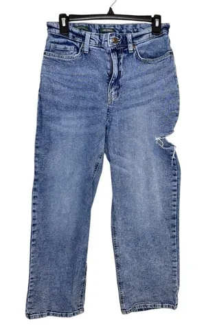 wild fable Women’s 90’s Relaxed Straight Jeans Size 4 thumbnail 1