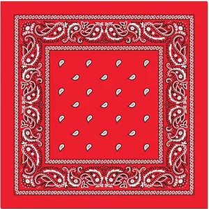 Red‎ Paisley Bandana 22x22 thumbnail 1