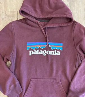 Patagonia Sweatshirt thumbnail 2