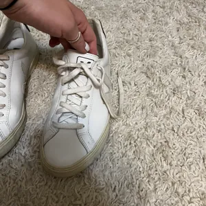 VEJA Campo Sneaks Size womens 6 thumbnail 12