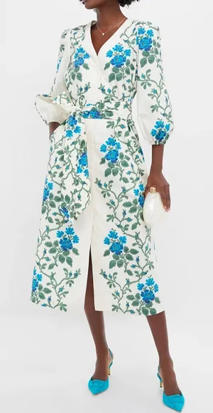 Tuckernuck Cerulean Vine Cotton Poplin Lachlan Dress - Small thumbnail 1