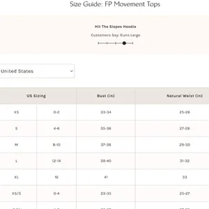 NWT Free People Hit The Slopes Hoodie in Evergreen Combo thumbnail 4