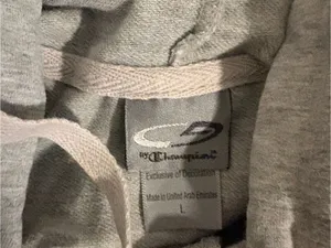 Champion Light Gray Zip-Up Hoodie thumbnail 2