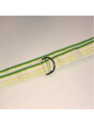 Striped Ribbon Belt with Metal D-Ring - Yellow & Green thumbnail 2