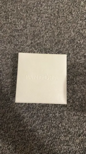 Pandora Charm Bracelet thumbnail 2
