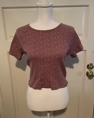 American Eagle Cropped Short Sleeve Top thumbnail 1