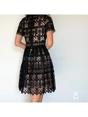 Alexis Black Crochet Guipure Lula Dress Size XS thumbnail 4