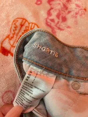 American Eagle Shorts thumbnail 3