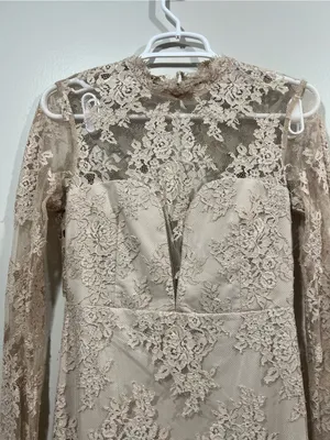 SAYLOR Leondra Nude Lace Long-Sleeve Mini Dress Size XS thumbnail 3