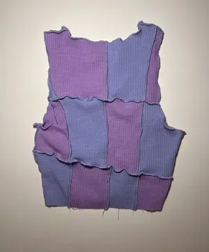 Checkered Colorblock Raw Edge Crop Top thumbnail 4