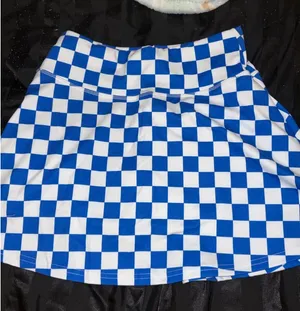 Blue Checkered Skirt thumbnail 1