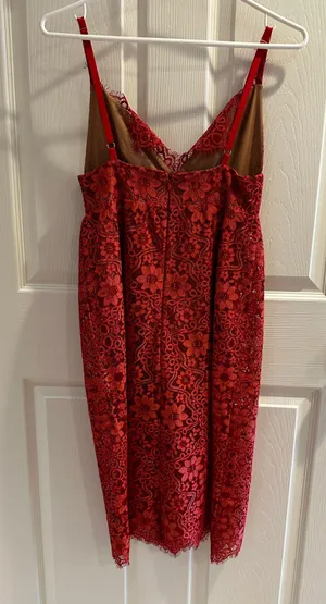 For Love & Lemons Red Dress thumbnail 4