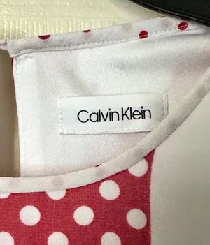 Calvin Klein Dress thumbnail 4