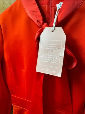 Ivy City Co. Pippa Long Sleeve Tie Bow Neck Knee Length Dress Satin Red XXS NEW thumbnail 8