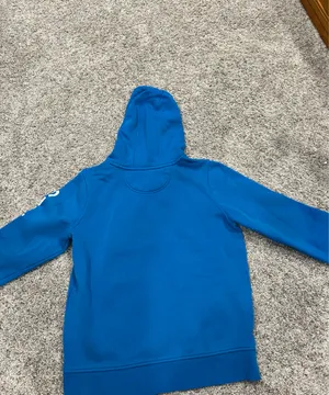 Turquoise Carhartt Hoodie thumbnail 4