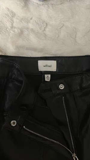 Aritzia Wilfred Leather Pants  thumbnail 4