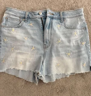 American Eagle shorts thumbnail 1