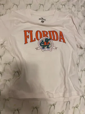 Hollister Baby Tee thumbnail 1