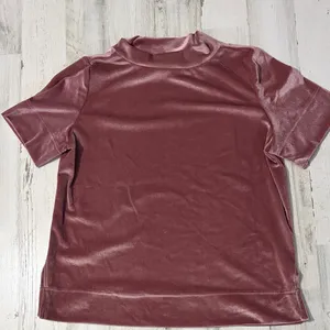 Anthropologie Krisha Mauve Velvet Mock Neck Short Sleeve Top Size Large thumbnail 4