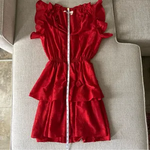 Chelsea & Violet Sleeveless Red Roses Ruffle Jardin Chinoiserie Dress Size S thumbnail 13