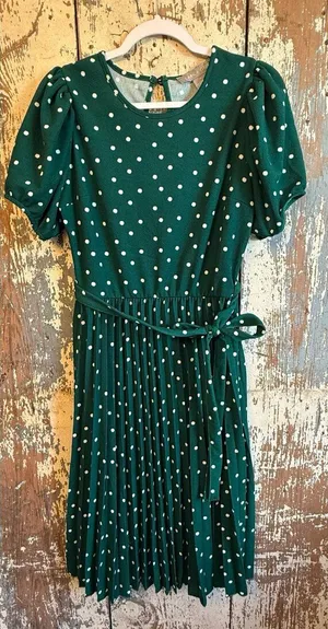 Lark + Grey Green White Polka Dot Pleated Dress size Medium thumbnail 1