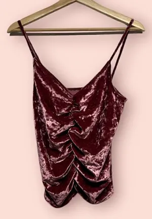 NWOT Urban Outfitters Pink Velvet Velour Ruched Crop Top Sz M thumbnail 1