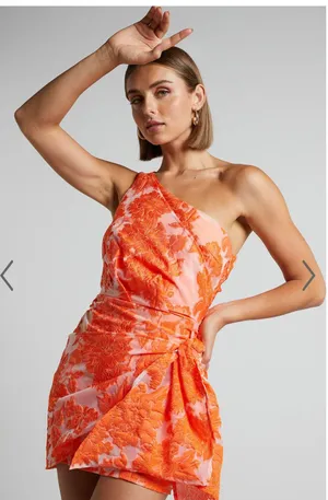 Showpo Dress thumbnail 3