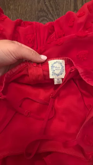 Francesca's Dress thumbnail 3
