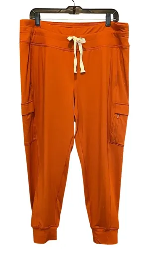 Alpine Design Jogger Pants Women's XL Outdoor Hiking‎ Gorpcore Granola Crunchy thumbnail 1