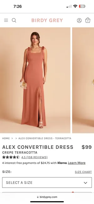 Birdy Grey terracotta Bridesmaid Dress thumbnail 2