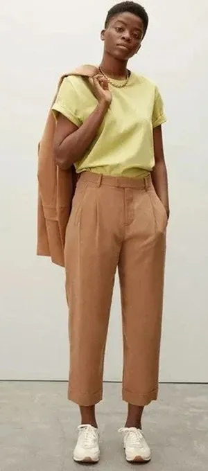Everlane The Put Together Pleat Pant Toasted Coconut Brown Ankle Preppy NWT 4 thumbnail 1