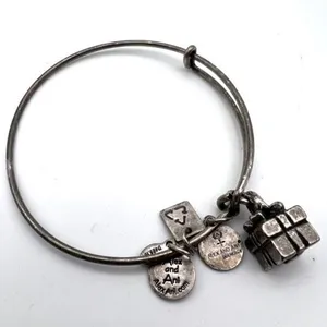 Alex and Ani Gift Present Silvertone Bangle Bracelet charm‎ thumbnail 2