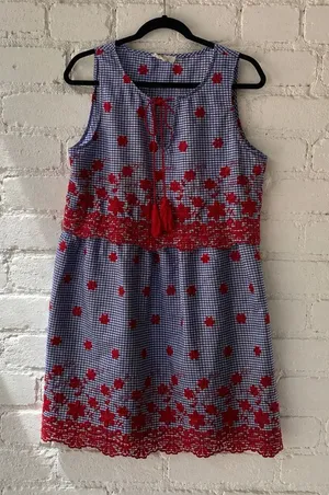 Entro Cotton Gingham Fit & Flare Dress Red Floral Lace Embroidered Sz. L thumbnail 1