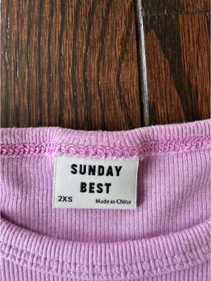 Aritzia Sunday Best Purple Baby Tee thumbnail 3